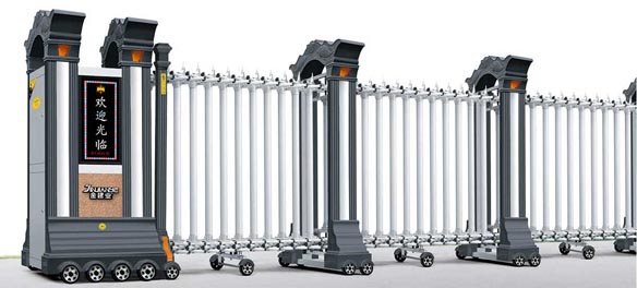 魚躍龍（lóng）門2號