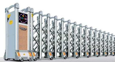 招財進寶（bǎo）9號