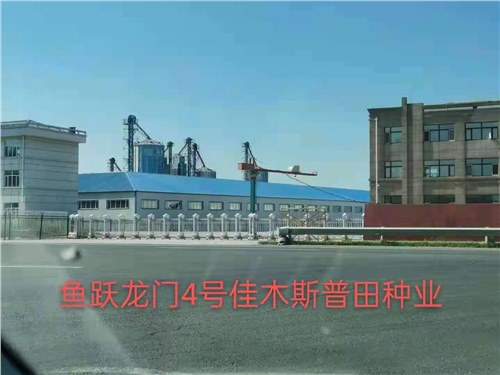 魚躍（yuè）龍門工程案例