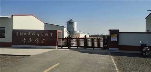 金碧輝煌係列案例